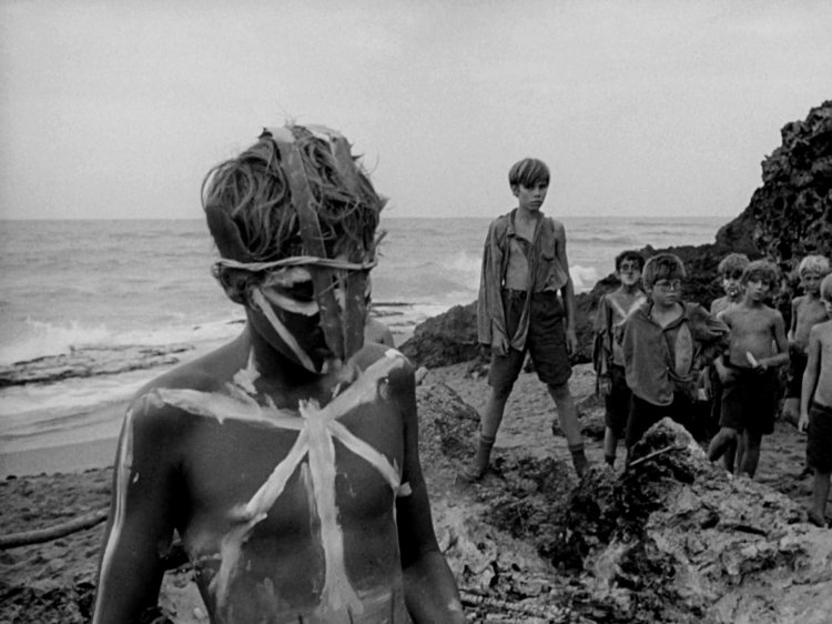 Lovers of Flies Film