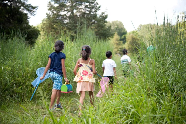 Children in nature