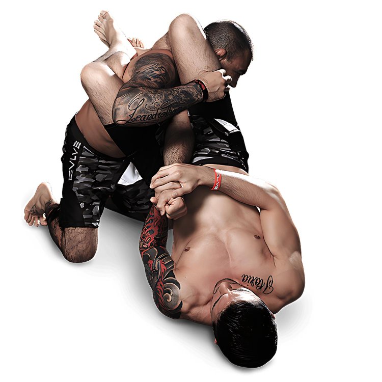 Mma martial arts Grappling