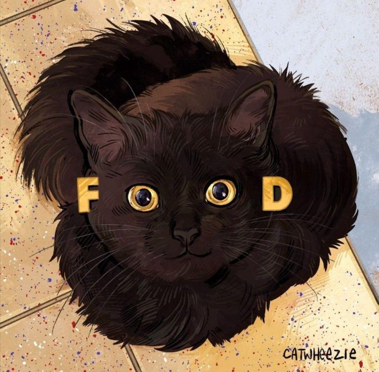 Black cat Food
