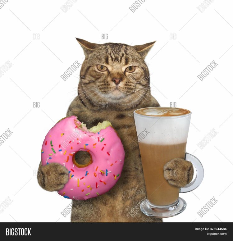 Kit in a donut