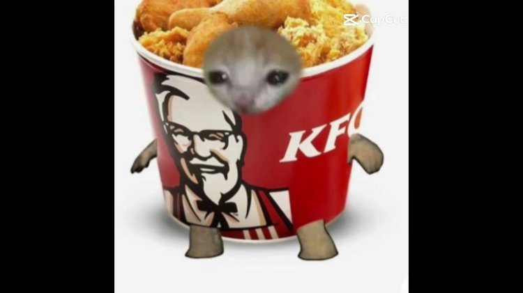 KFC Cat