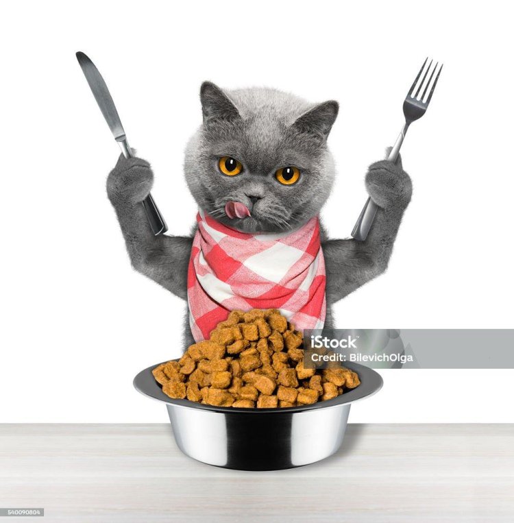 A cat with knife and fork