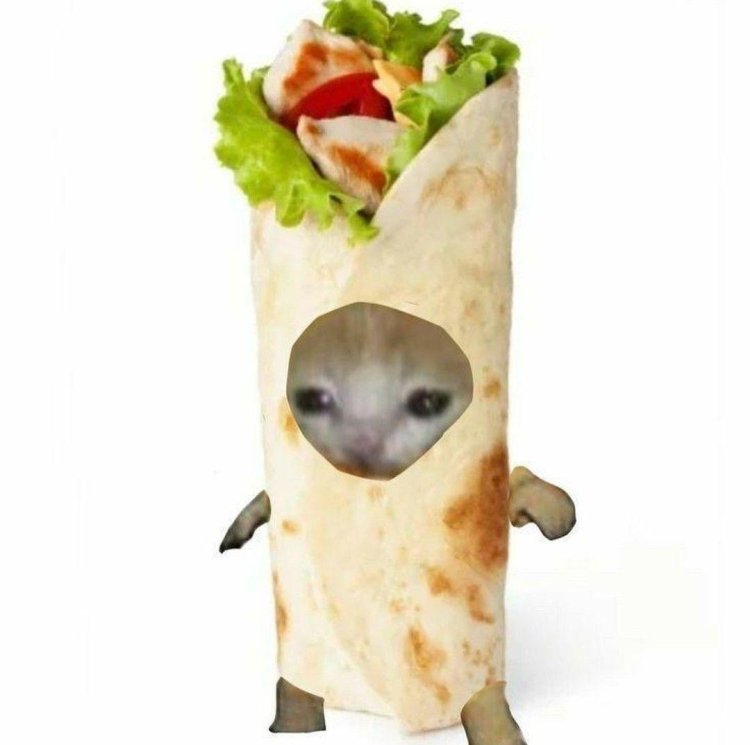 Cat Shawarma