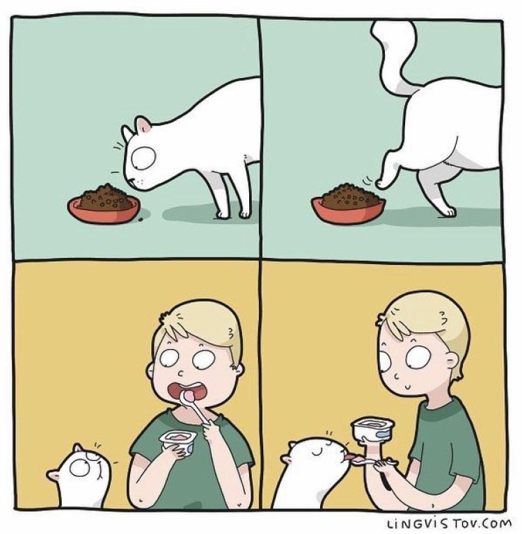 Comics with cats