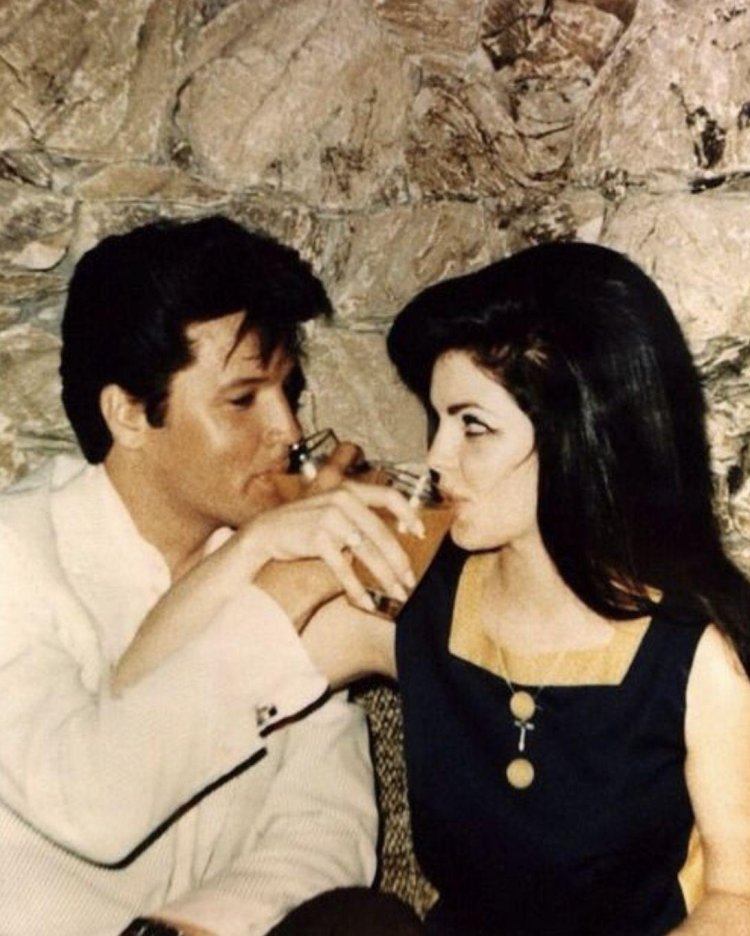 Provocialla Presley and Elvis