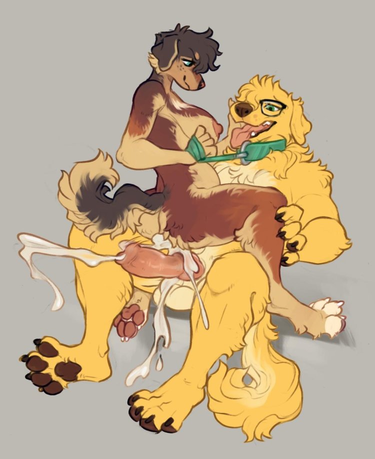 Dogs of female hantai and man