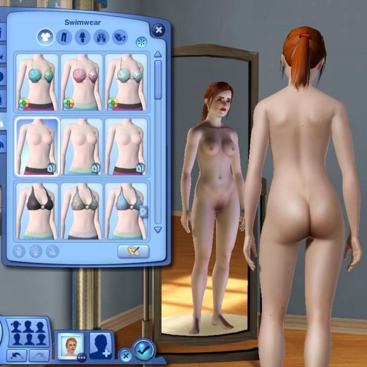 Erotic computer games