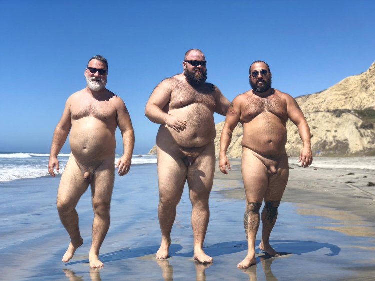 Naked fat men on the beach