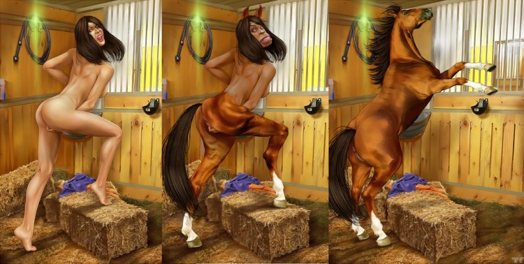 Horses and women cross