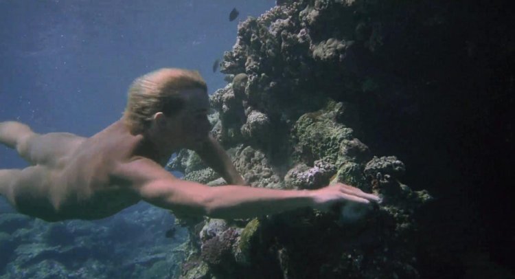 Christopher Atkins Blue Laguna Naked