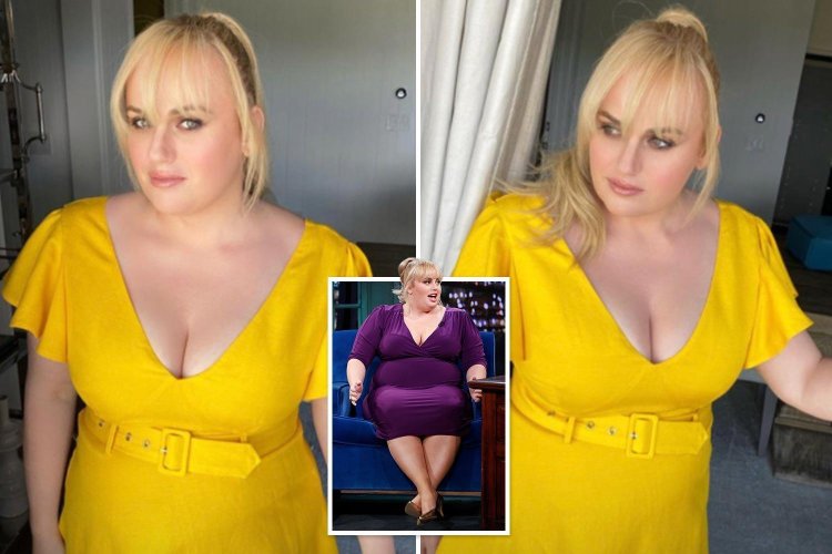 Rebel Wilson thin 2020