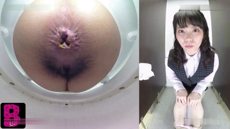 Japanese toilet view from below