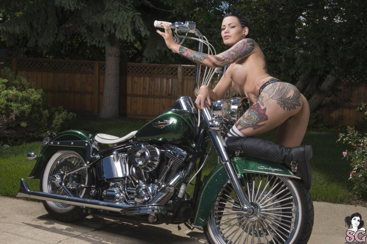 Naked women and Harley Davidson
