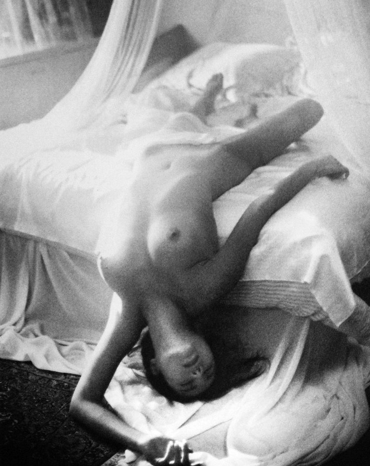 David Hamilton