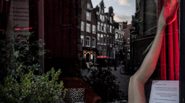 Red Lights Amsterdam