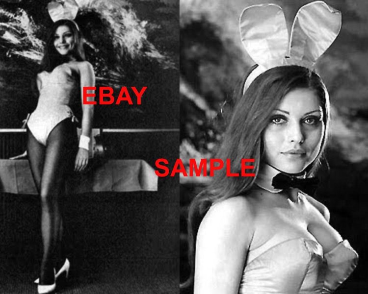Debbie Harry Placeboy