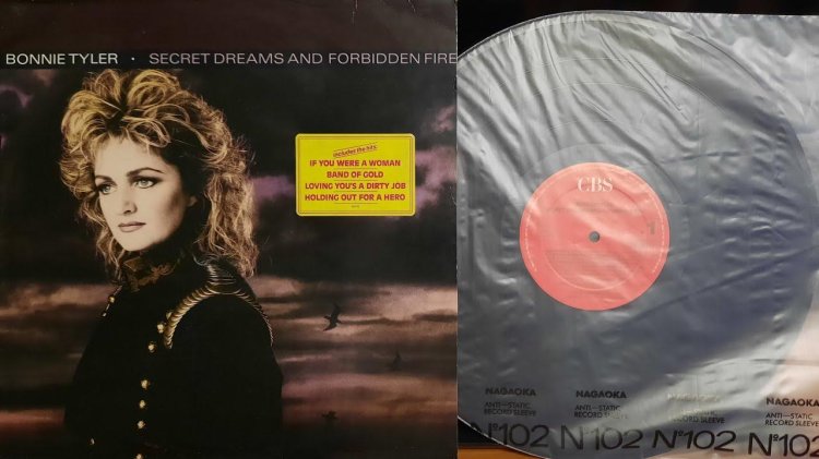 Bonnie Tyler Secret Dreams and Forbidden Fire 1986
