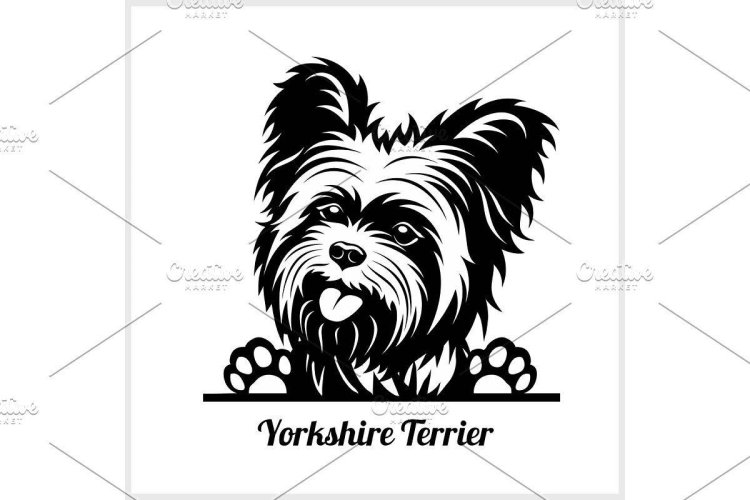 Yorkshire Terrier Vector
