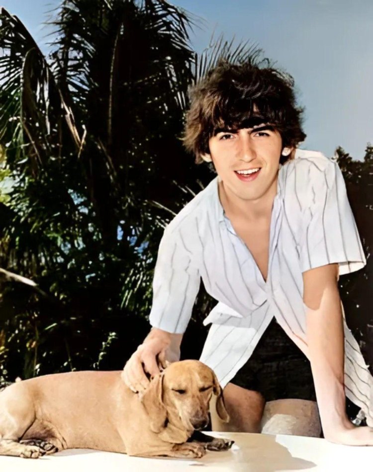 George Harrison with Kotik