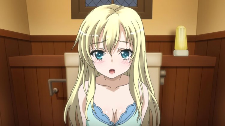 Anime Boku Wa Tomodachi