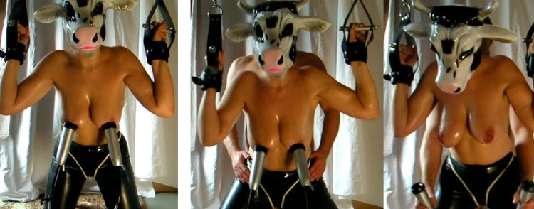 Bdsm Cow boy AESRT