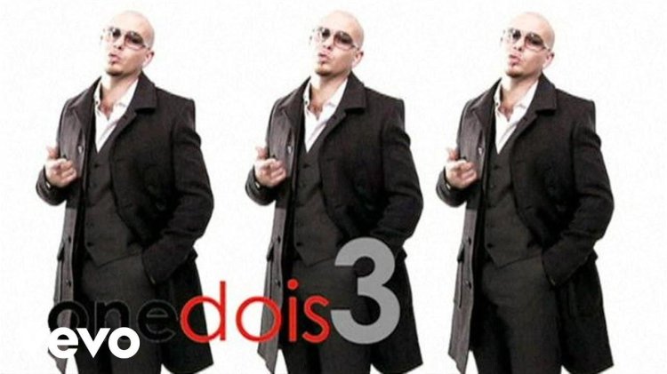 Pitbull i know you want me