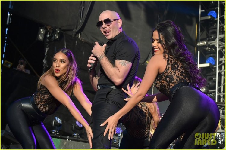 Pitbul singer