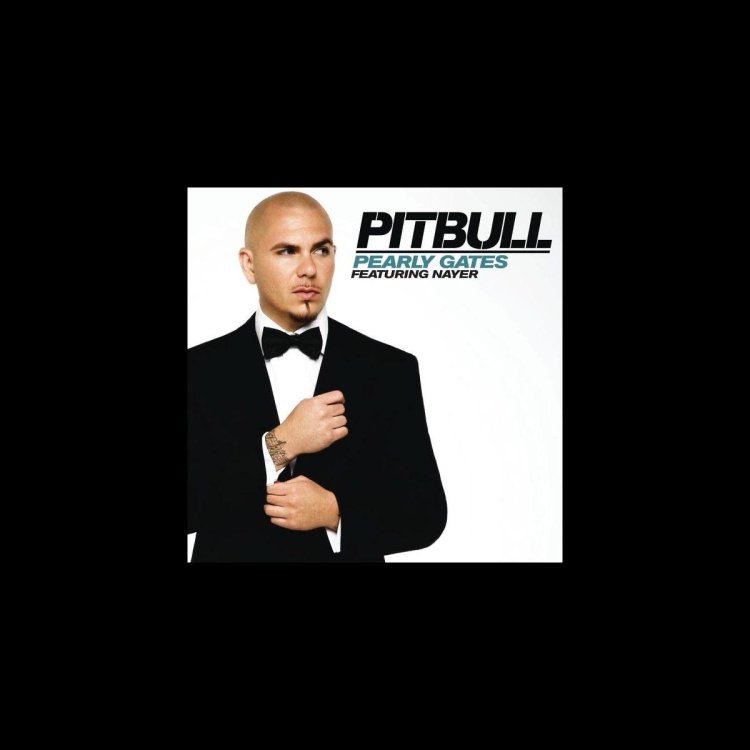 Pitbull Song