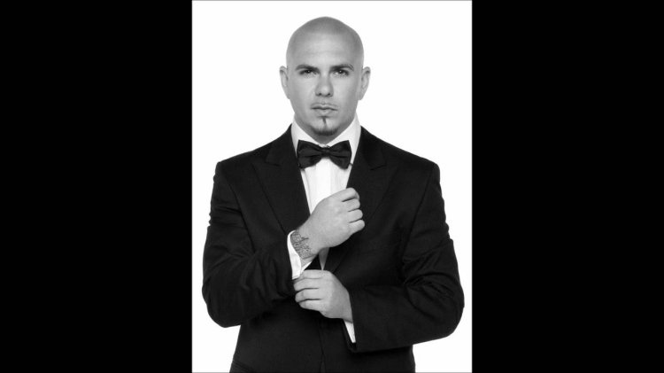 Singer Pitbul Douettes