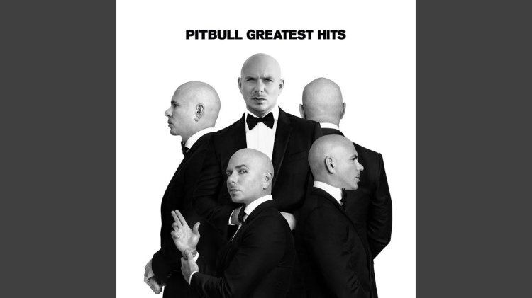 Singer Pitbul Duets