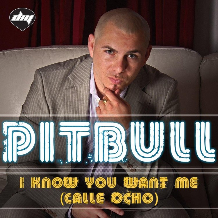 Pitbull Calle Ocho