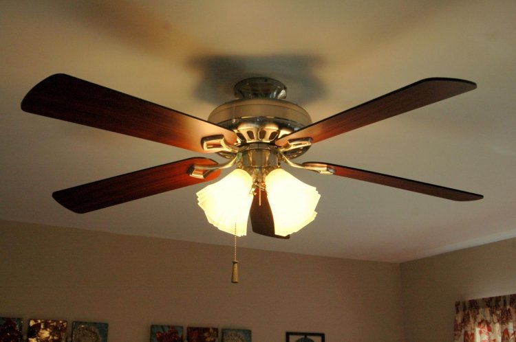 Ceiling fan