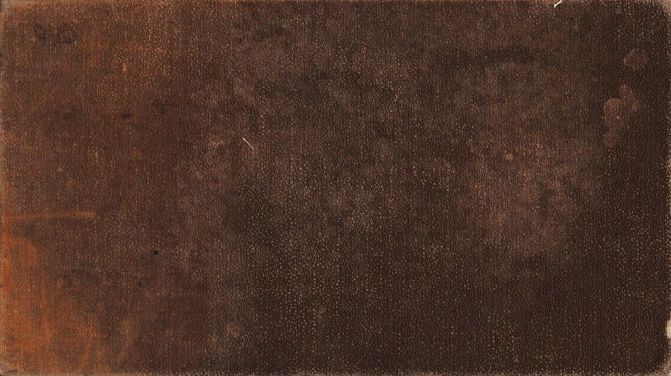 Brown leather texture
