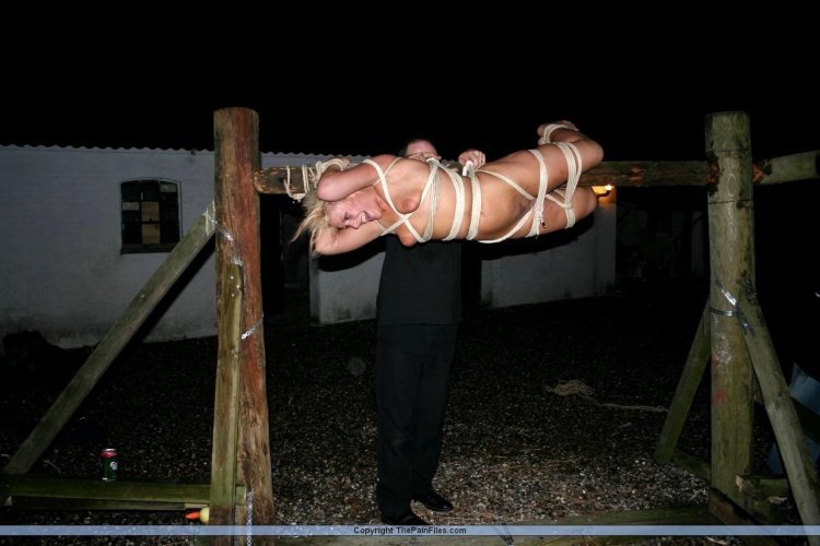 Related girls on a tree