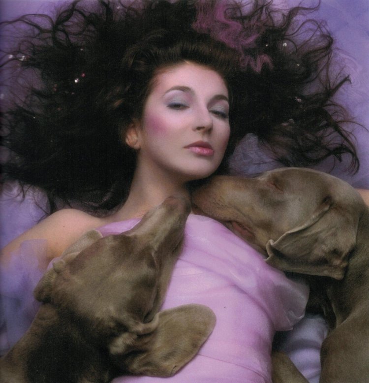 Kate Bush