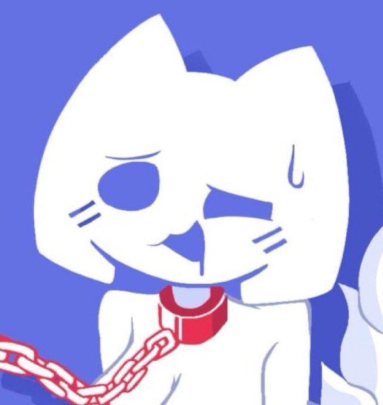 Discord cat