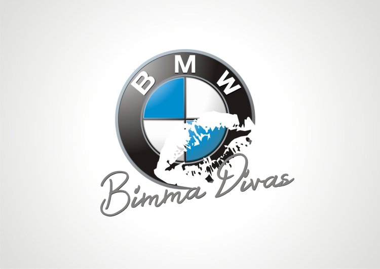 Bmw logo