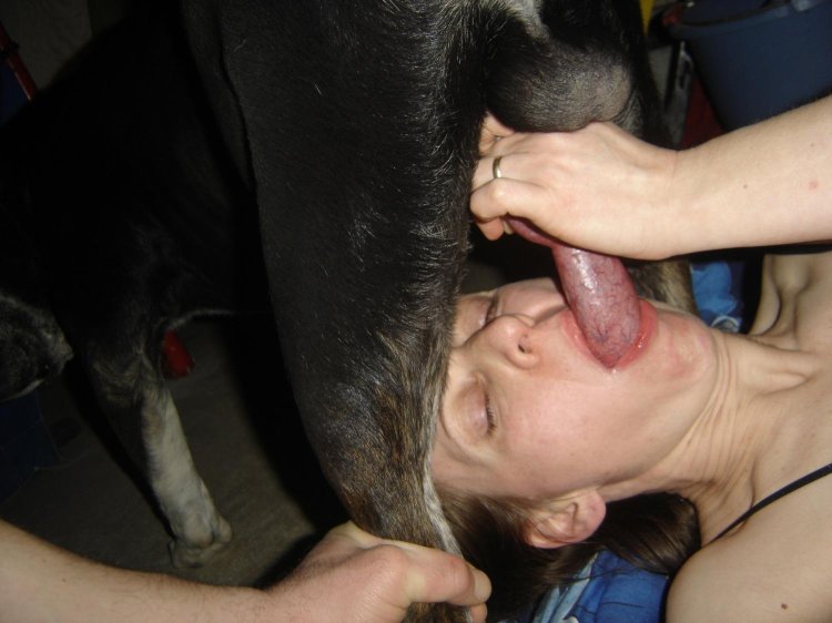 Girl licking a member of dog