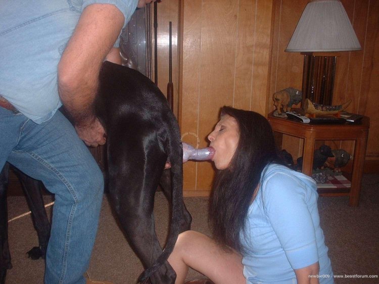 Homemade porn with animals