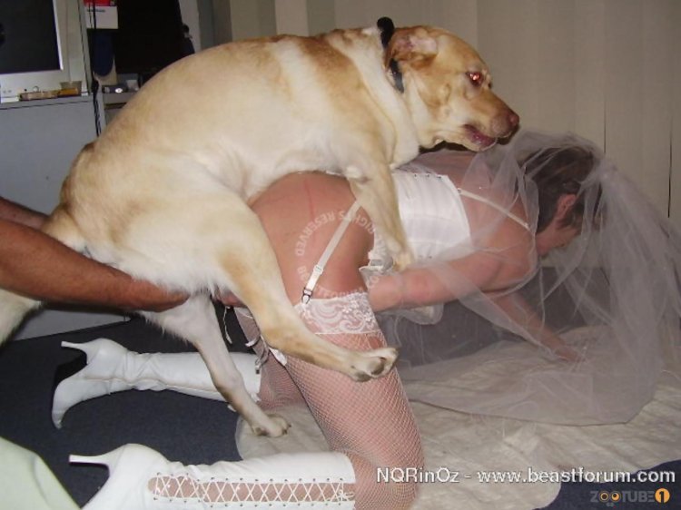 Erotic pictures with dogs