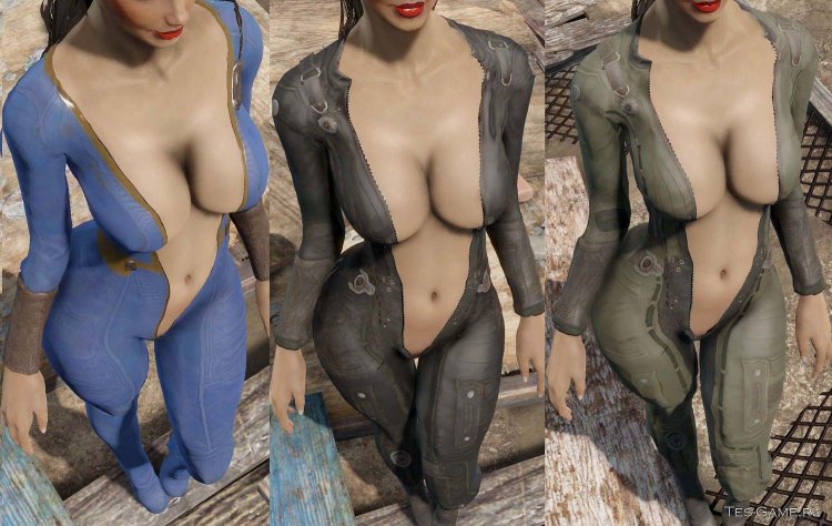 Fallout 4 mod Erotic clothing