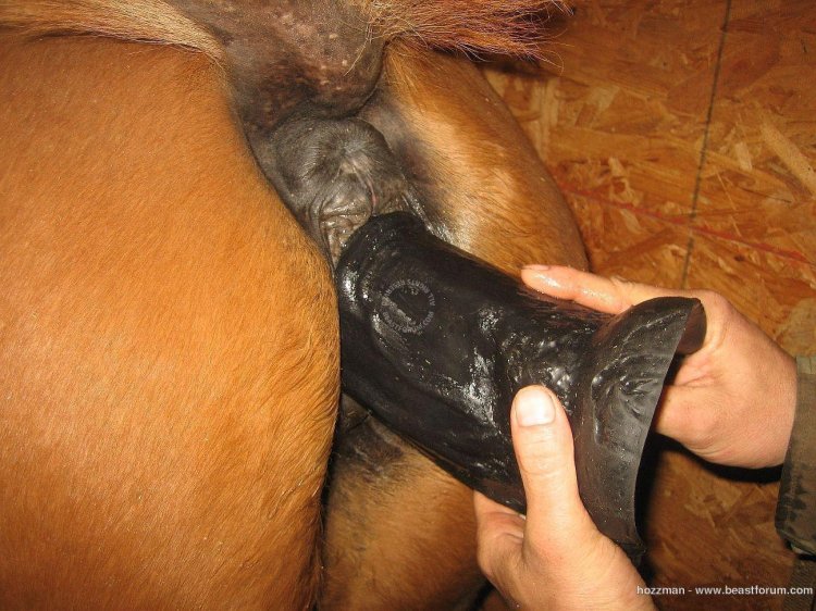 Rubber horse vagina
