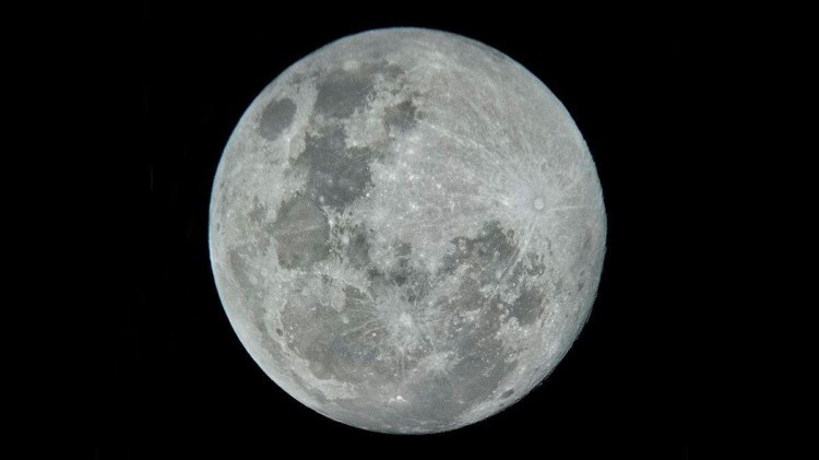 Naked witch on a broomstick