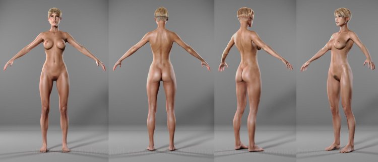 Naked female body reference