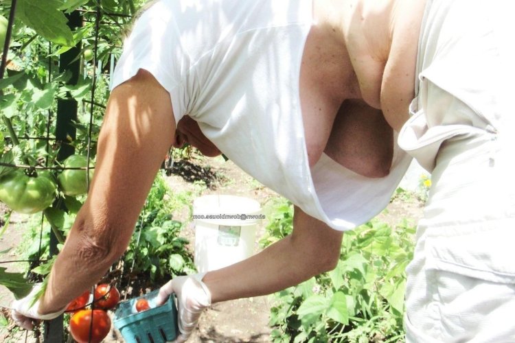 Women in a dacha without panties