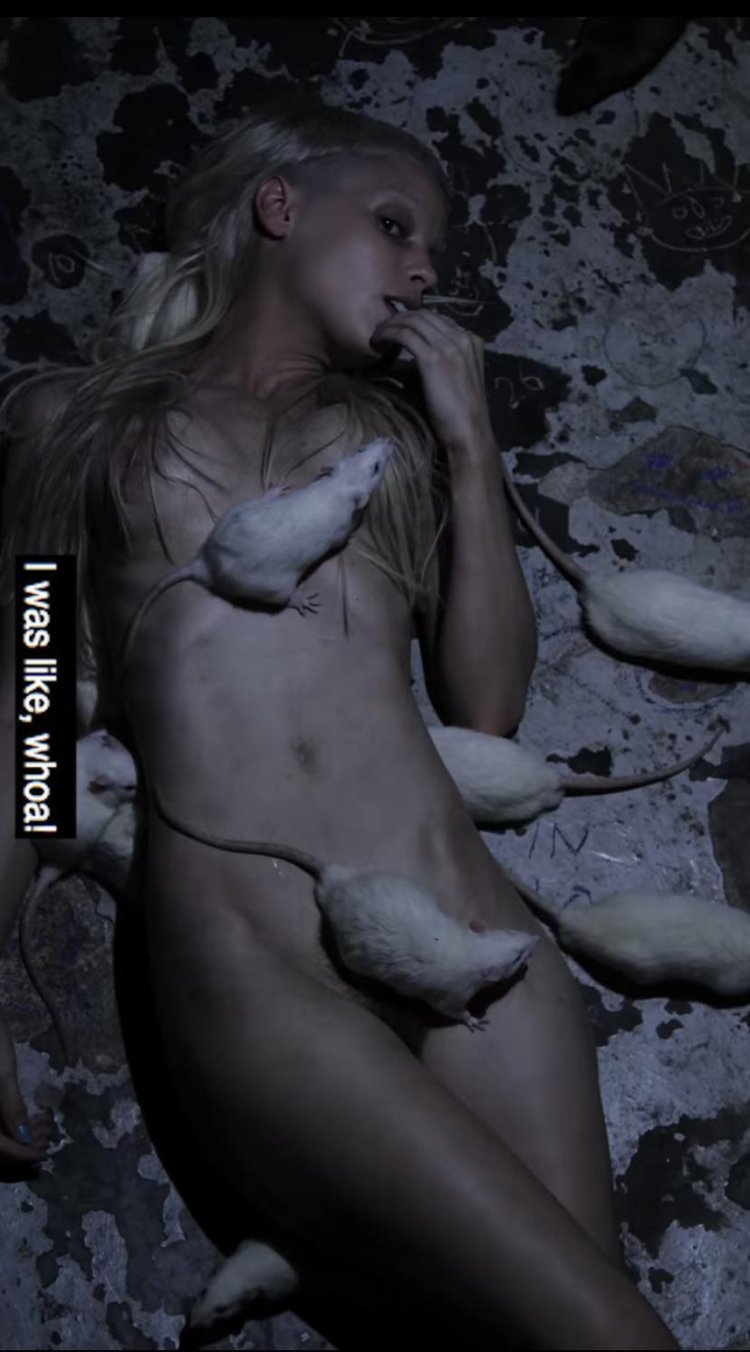 Yolandi Fisser Offer