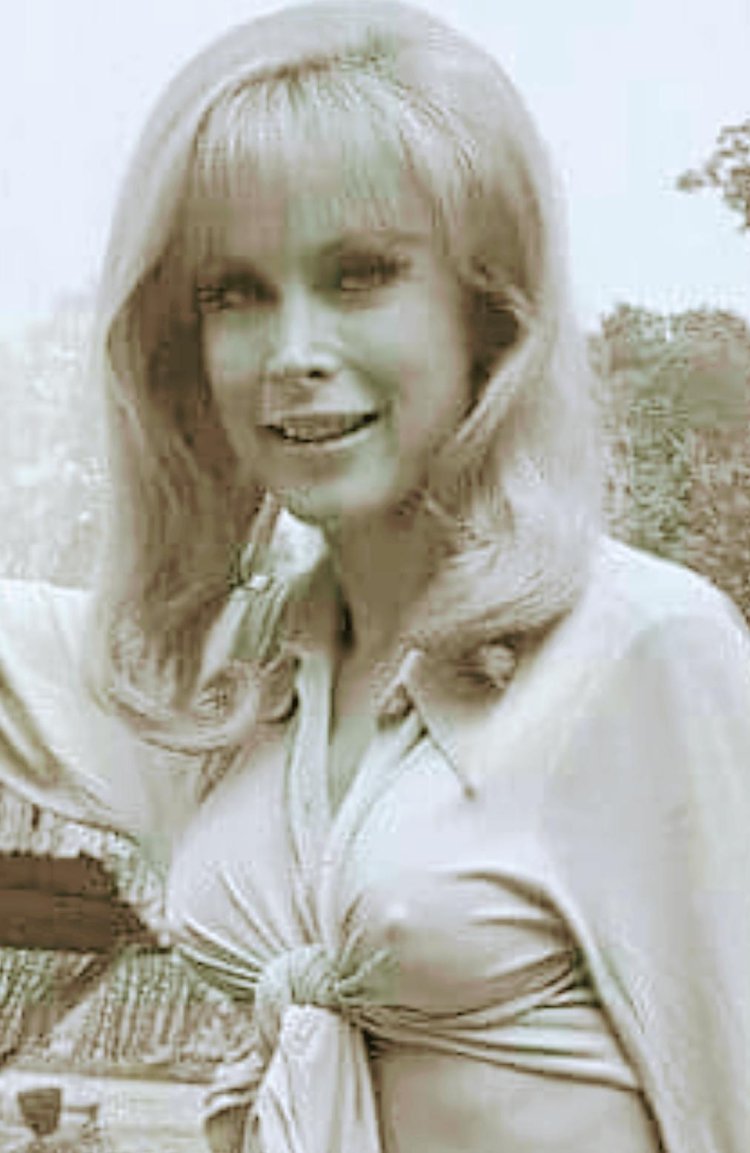 Barbara Eden hot