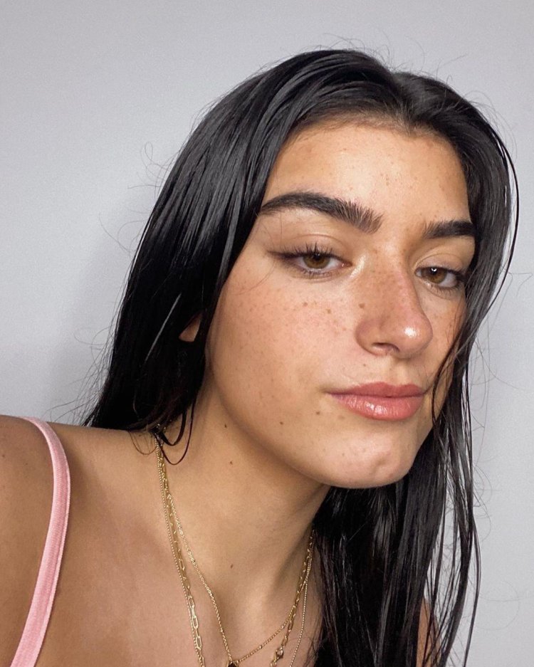 Dixie Dicky Damelio Porn actress