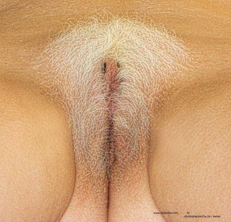 Blond hairs on pubic